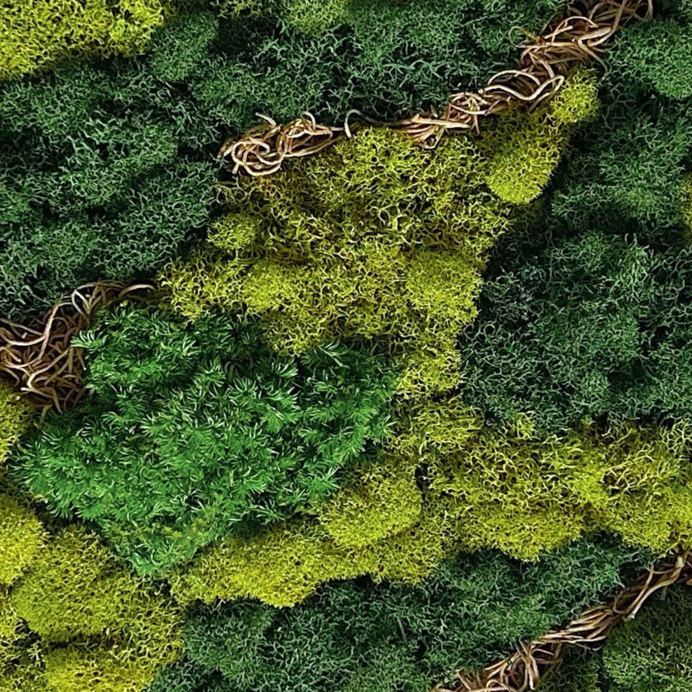 Close up photo of moss art